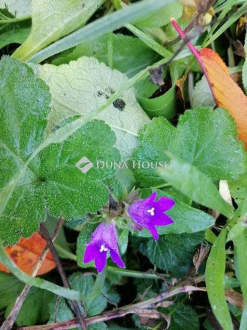 Eladó telek, Zsámbékon 6.8 M Ft / költözzbe.hu