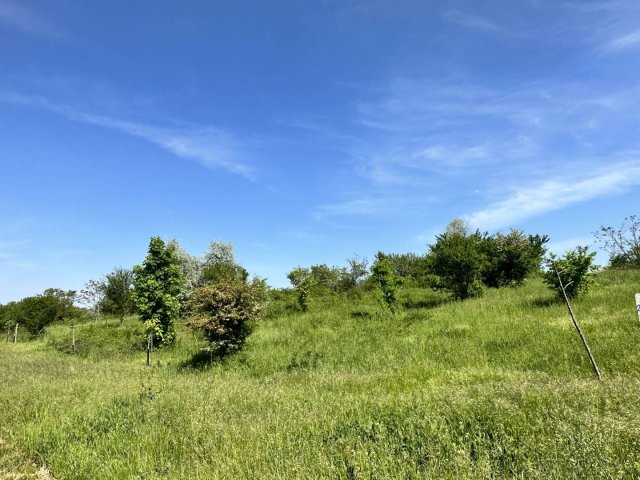 Eladó telek, Törökbálinton 36.7 M Ft / költözzbe.hu