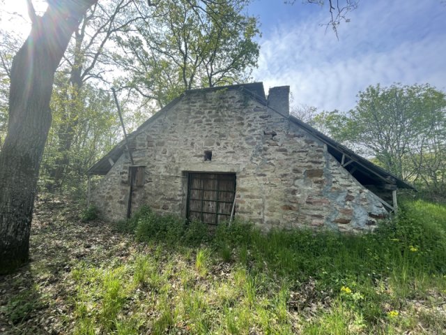 Eladó mezogazdasagi ingatlan, Balatonszepezden 34.9 M Ft