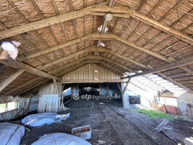 Eladó mezogazdasagi ingatlan, Tiszacsegén 20 M Ft