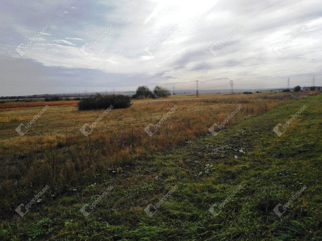Eladó mezogazdasagi ingatlan, Berhidán 11.9 M Ft
