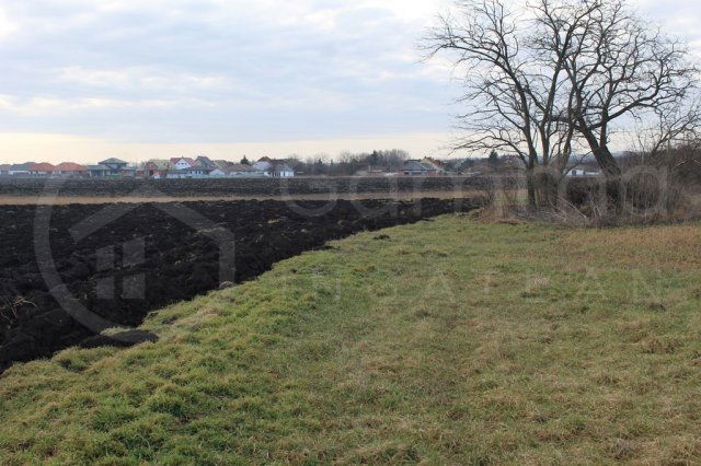 Eladó telek, Kistokajon 16.9 M Ft / költözzbe.hu