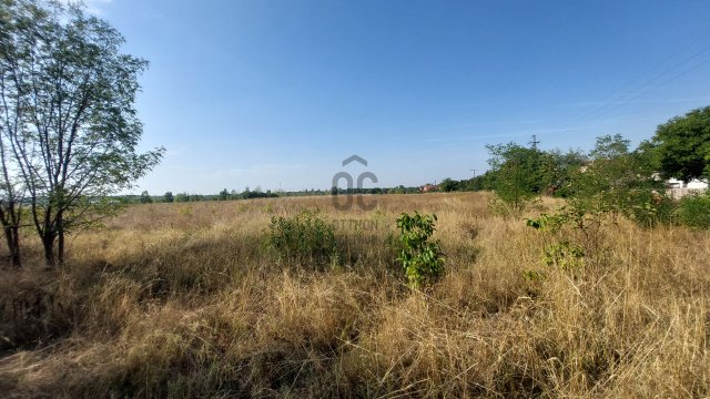 Eladó mezogazdasagi ingatlan, Gyömrőn 20 M Ft