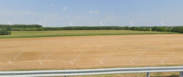 Eladó telek, Péterin 42 M Ft / költözzbe.hu