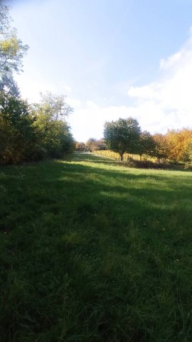 Eladó telek, Galambokon 2.9 M Ft / költözzbe.hu