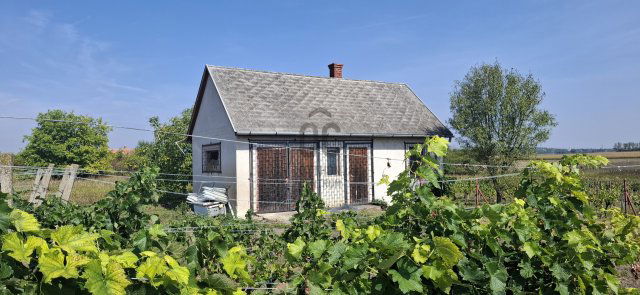 Eladó telek, Balatonfőkajáron 13 M Ft / költözzbe.hu