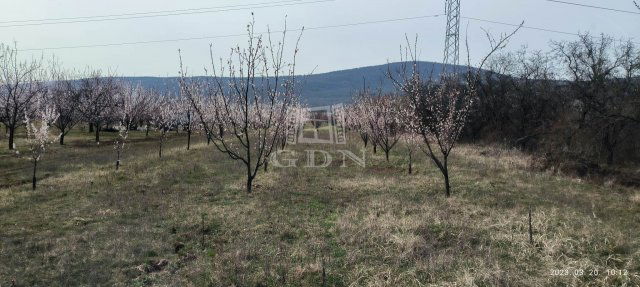 Eladó mezogazdasagi ingatlan, Pomázon 8.8 M Ft