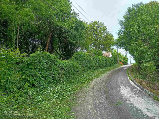 Eladó telek, Zalán 5.999 M Ft / költözzbe.hu