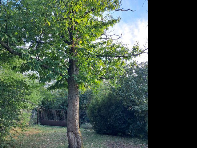 Eladó telek, Miskolcon 3.9 M Ft / költözzbe.hu