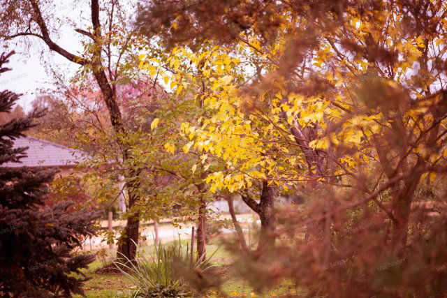 Eladó téglalakás, Márokföldön 114 M Ft, 3 szobás