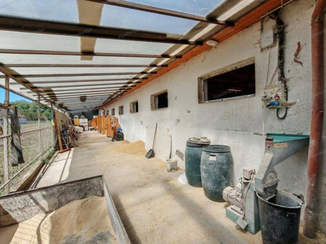 Eladó mezogazdasagi ingatlan, Nyíregyházán 179.999 M Ft