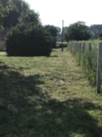 Eladó telek, Nyíregyházán 5.5 M Ft / költözzbe.hu