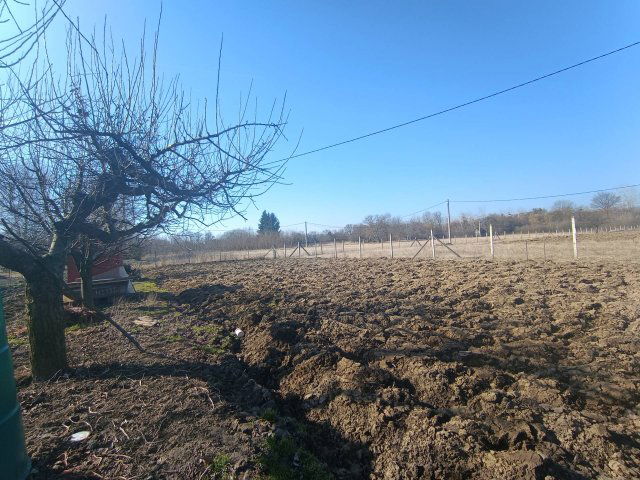 Eladó mezogazdasagi ingatlan, Sárospatakon 2.5 M Ft