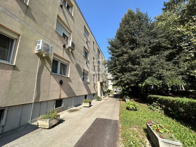 Kiadó téglalakás, albérlet, Székesfehérvárott 135 E Ft / hó