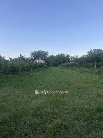 Eladó telek, Vaszaron 1.5 M Ft / költözzbe.hu