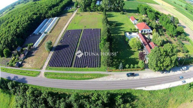 Eladó mezogazdasagi ingatlan, Csongrádon 6 M Ft