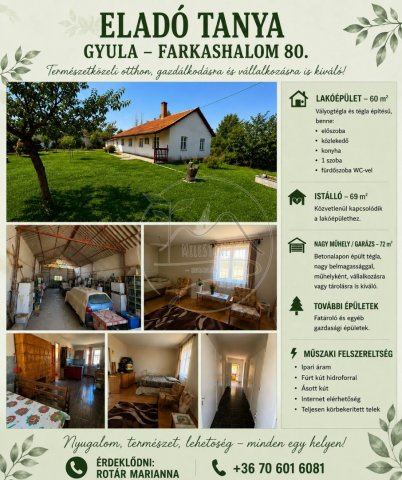 Eladó mezogazdasagi ingatlan, Gyulán 30.99 M Ft
