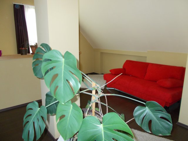 Kiadó családi ház, albérlet, X. kerületben, Petrőczy utcában