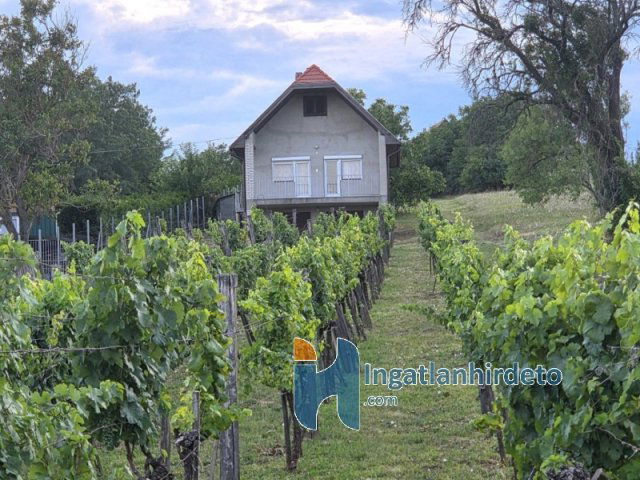 Eladó családi ház, Alsópáhokon 39.9 M Ft, 2 szobás