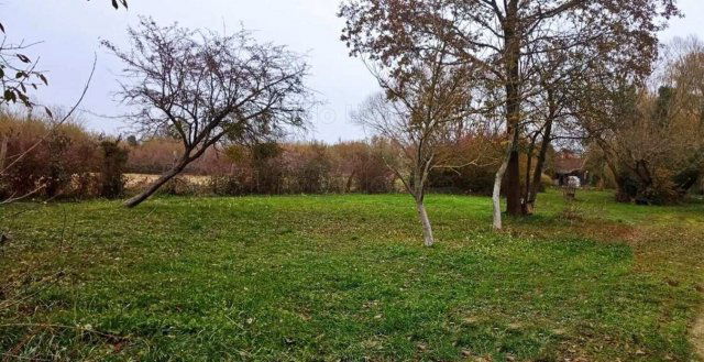 Eladó ipari ingatlan, Keszthelyen 46.5 M Ft / költözzbe.hu