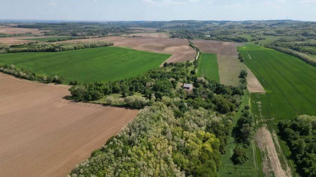 Eladó családi ház, Kerecsenyen 280 M Ft, 20 szobás