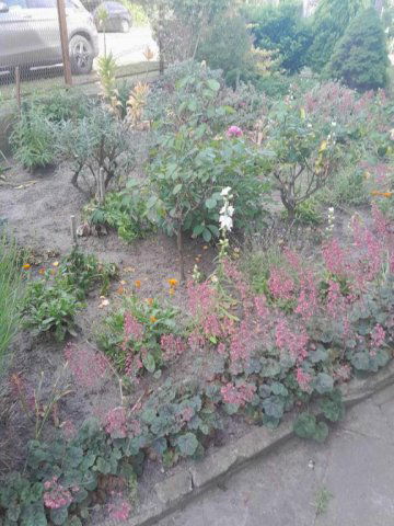 Eladó téglalakás, Kecskeméten 53 M Ft, 3 szobás