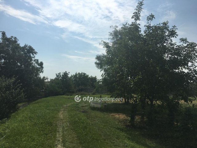 Eladó telek, Domoszlón 4.99 M Ft / költözzbe.hu
