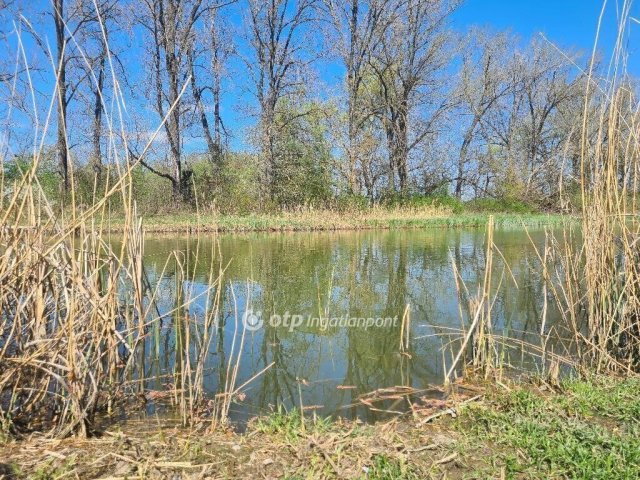 Eladó nyaraló, Dömsödön 21.9 M Ft, 1+1 szobás