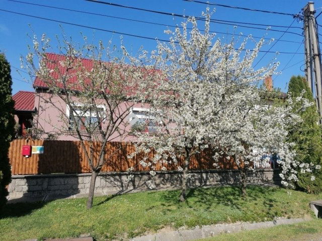 Eladó családi ház, Komlón 47 M Ft, 3 szobás