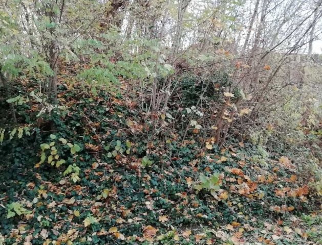 Eladó telek, Zalakaroson 8.99 M Ft / költözzbe.hu