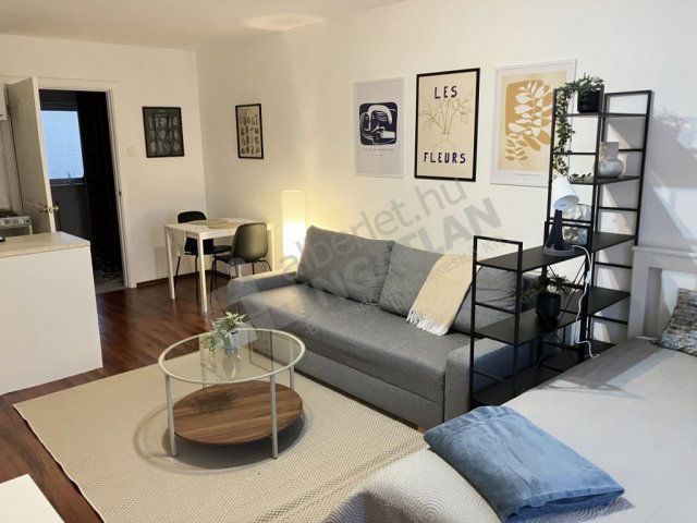 Kiadó téglalakás, albérlet, VIII. kerületben, Baross utcában