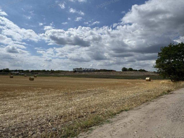 Eladó mezogazdasagi ingatlan, Kunszálláson 130 M Ft