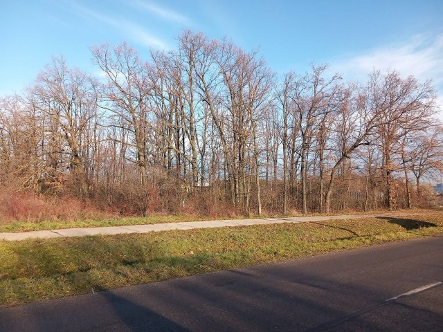 Eladó ipari ingatlan, Szolnokon 54.9 M Ft / költözzbe.hu