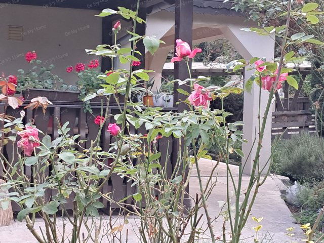 Eladó családi ház, Visegrádon 125 M Ft, 3+2 szobás