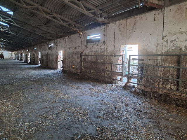 Eladó mezogazdasagi ingatlan, Besenyszögön 95 M Ft