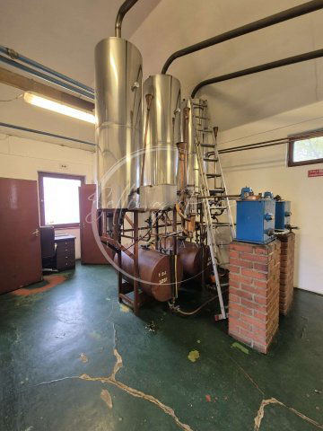 Eladó ipari ingatlan, Pécsett 40 M Ft, 2 szobás