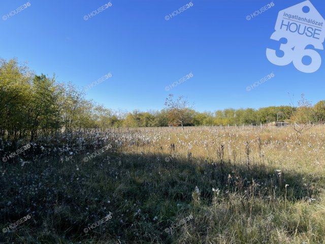 Eladó telek, Ballószögön 9.9 M Ft / költözzbe.hu
