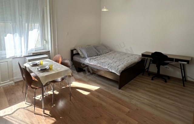 Kiadó téglalakás, albérlet, VII. kerületben, Damjanich utcában