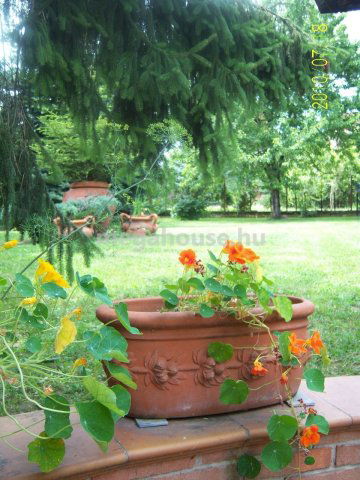 Eladó üzlethelyiség, Budapesten, XI. kerületben, Haraszt utcában