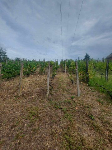 Eladó családi ház, Sárváron 27.8 M Ft, 3 szobás