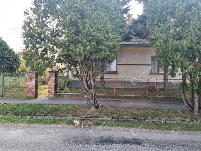 Eladó családi ház, Mesterin 29.7 M Ft, 4 szobás