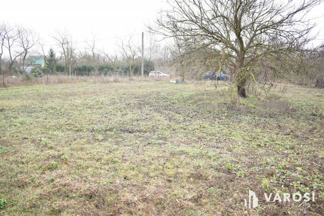 Eladó mezogazdasagi ingatlan, Gyulán 2.5 M Ft