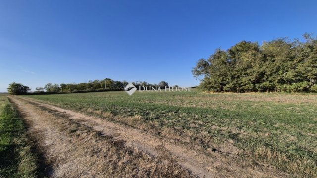 Eladó családi ház, Kecskeméten 54.9 M Ft, 3 szobás