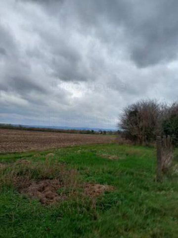 Eladó mezogazdasagi ingatlan, Balatonszabadiban 28 M Ft