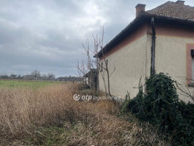 Eladó telek, Tiszaföldváron 2.5 M Ft / költözzbe.hu