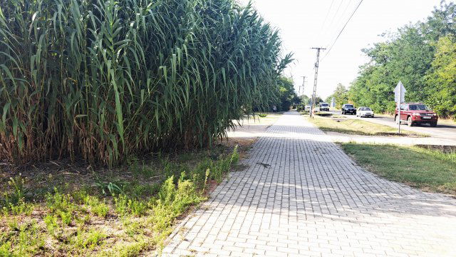 Eladó telek, Abában, Fehérvári utcában 5.9 M Ft