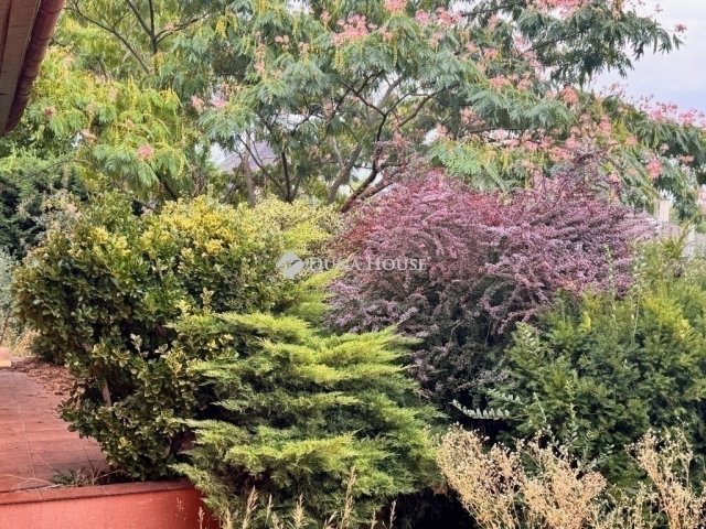 Eladó családi ház, Nagytarcsán 115 M Ft, 6 szobás