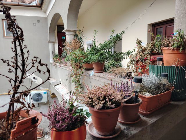 Kiadó téglalakás, albérlet, Egerben 250 E Ft / hó, 2 szobás