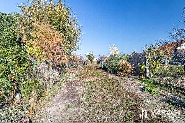 Eladó telek, Röszkén 7.5 M Ft / költözzbe.hu