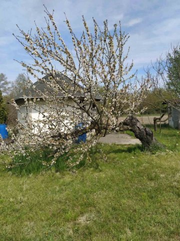 Eladó telek, Budapesten, XXI. kerületben 4.99 M Ft